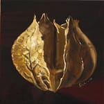 Physalis 1 klein