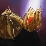 Physalis