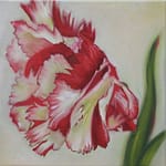 20x20cm, Öl auf Leinwand
